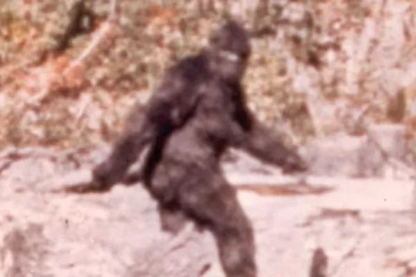 神秘大脚怪是真的！抱小孩渡河画面曝光，FBI首公布40年档案