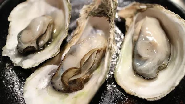 中国人盗采日本牡蛎留下100吨垃圾！日本人不解：那些牡蛎有毒