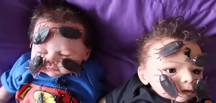 病态的世界!网络名人揭发恋童癖者的YouTube频道有120亿个点击率!