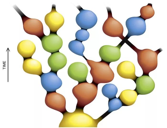 霍金生前最后提出关于宇宙的理论，会使你的大脑融化