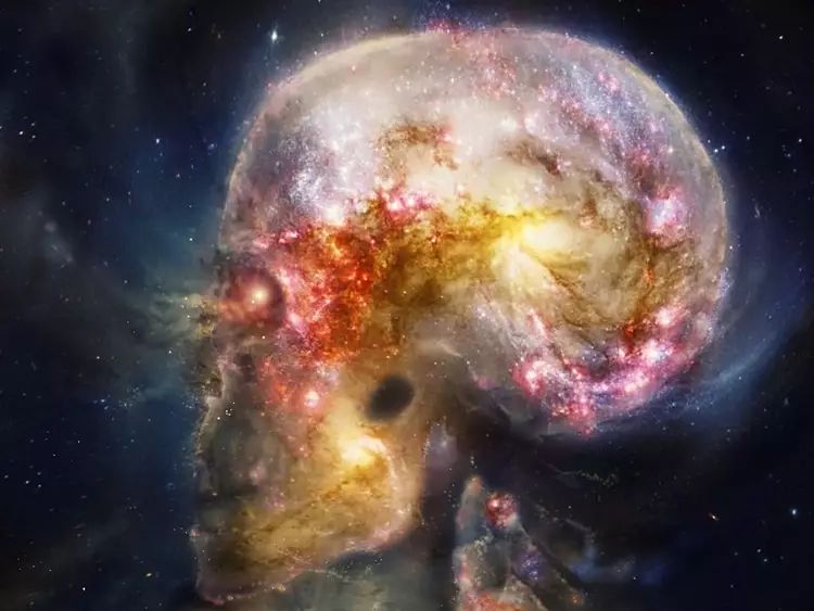 大脑里一种新的“幽灵记忆”被发现了，记忆被删除后仍然可以回忆！