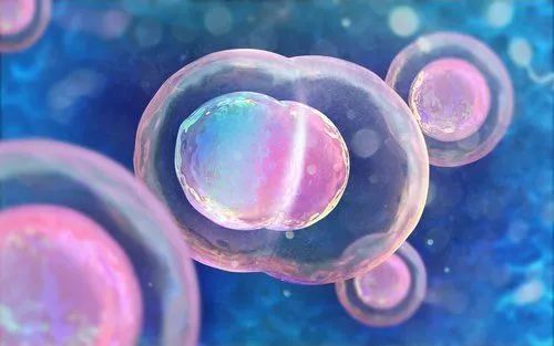 人人都能返老还童？科学家在胚胎中发现“细胞逆龄”真相