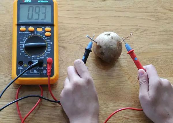 科学家发现马铃薯能发电！ 一颗就能照亮你家40天
