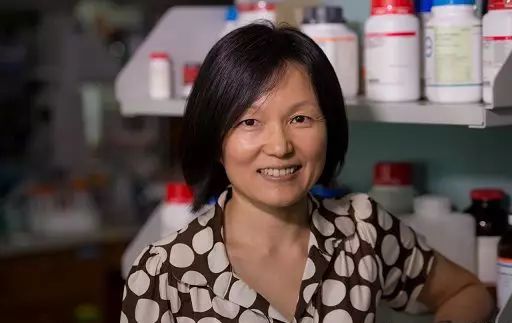 科学家利用太阳能把盐水变成淡水，便宜到每个人家都能使用！