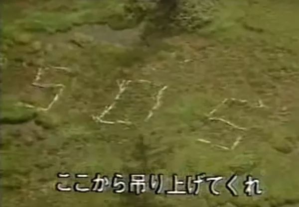 北海道SOS事件未解之谜，巨大的SOS树木符号、诡异的录音