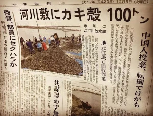 中国人盗采日本牡蛎留下100吨垃圾！日本人不解：那些牡蛎有毒