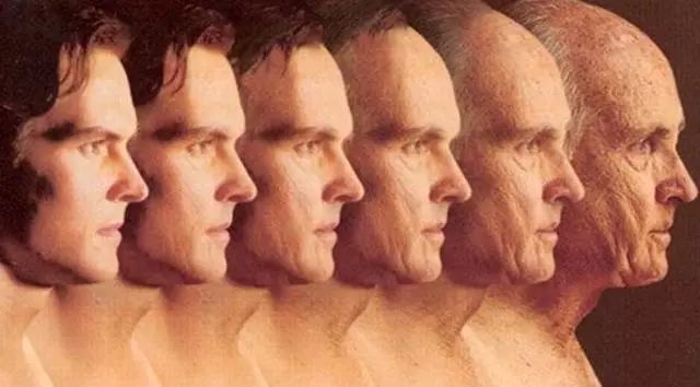 科学家也许真的找到了长生不老药