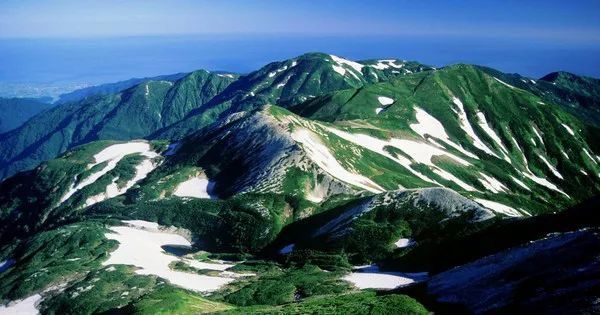 北海道SOS事件未解之谜，巨大的SOS树木符号、诡异的录音