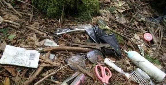 日本500多人选择在同一片森林里自杀之谜