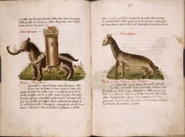 800年前的动物长什么样？鳄鱼、大象、羚羊长得都很魔幻！