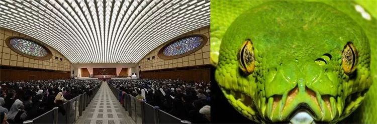 梵蒂冈黑暗的秘密：这个建筑实际上是一个巨大的爬虫！
