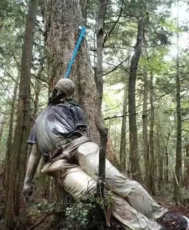 日本500多人选择在同一片森林里自杀之谜