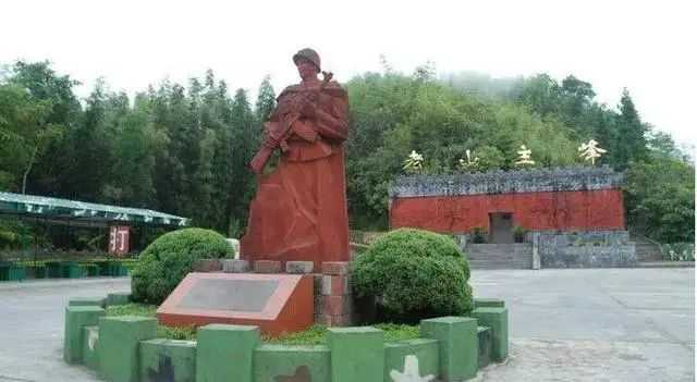 越军老兵回忆老山松毛岭惨败，有的团几乎打光，很多尸体收不回来