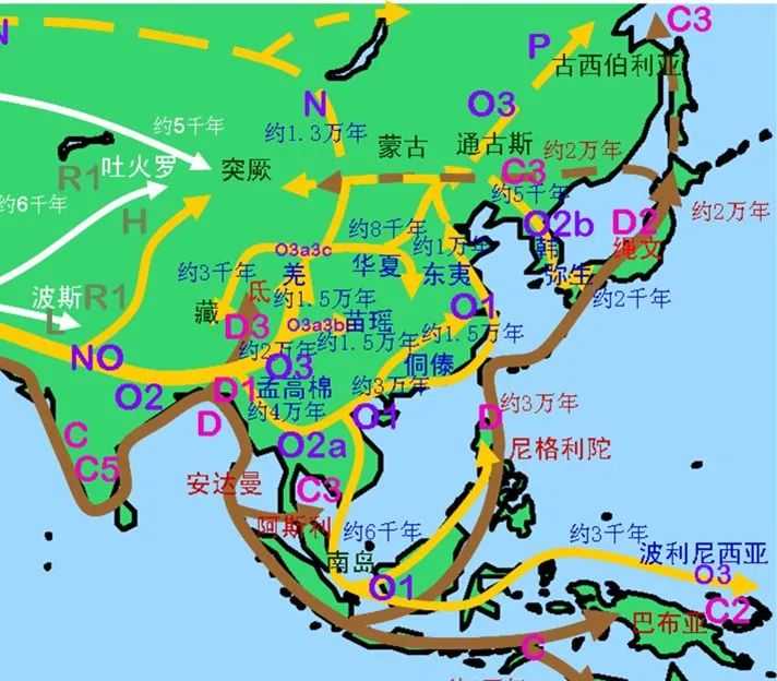 匈奴人是黄种人还是白种人？DNA检测分析显示其成分十分复杂