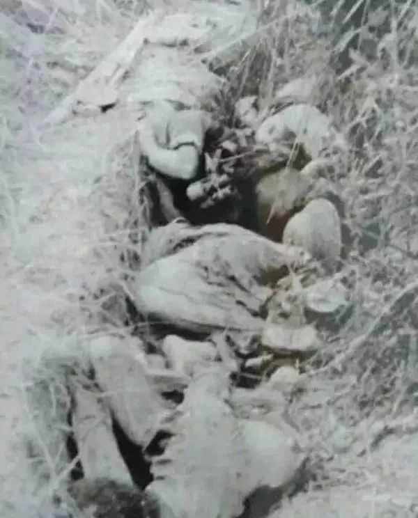 越军老兵回忆老山松毛岭惨败，有的团几乎打光，很多尸体收不回来