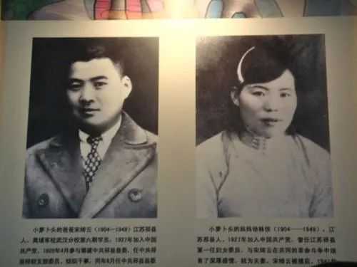 他“掐死”小萝卜头获赏50元，解放后去自首，公安局：既往不咎