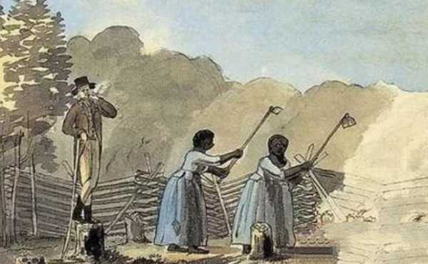 历史上非洲黑奴到底有多凄惨？尤其是女性黑奴，一段黑历史被揭开