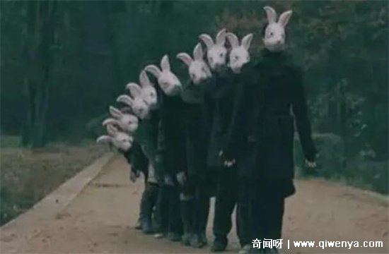 10只兔子恐怖照片原版,歌谣改编让人毛骨悚然(疑似捏造故事)
