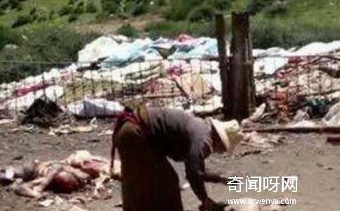 神秘的西藏起尸是什么，死人起身危害活人是真的吗