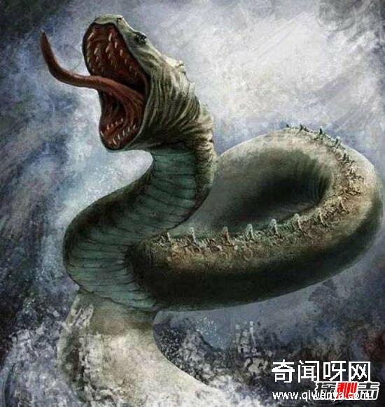 动物未解之谜