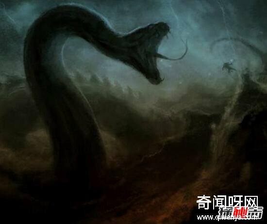 动物未解之谜