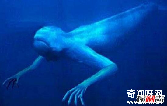 Ningen真的存在吗,美国和日本在南极的人造生命体