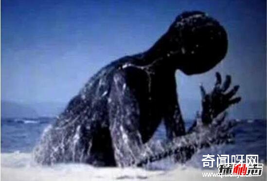 Ningen真的存在吗,美国和日本在南极的人造生命体