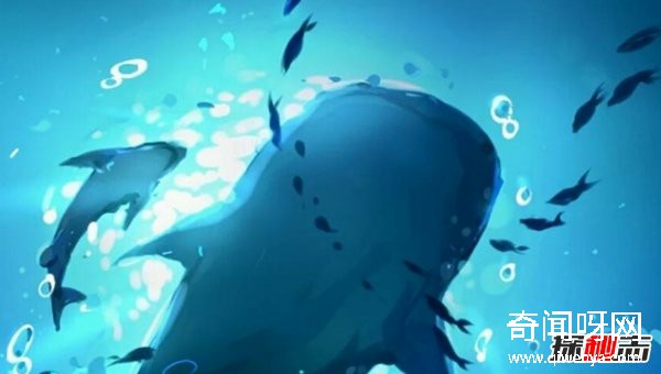 蓝鲸有天敌吗?关于蓝鲸的10大惊天秘密(真相揭秘)