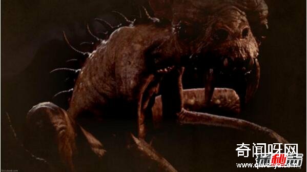 美洲卓柏卡布拉,恐怖的人形吸血怪兽(图片)