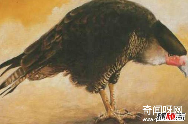 10大最奇特灭绝物种 第九长达三米,第一致死高手(附图)