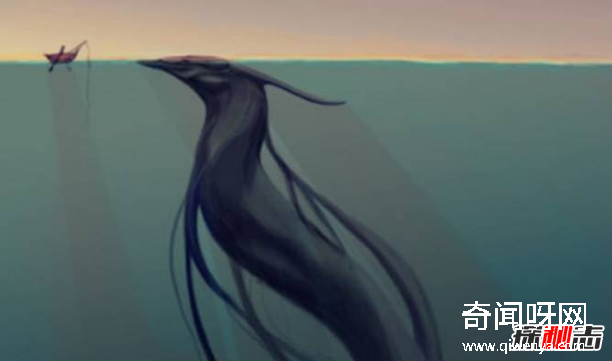 深海1万米巨型生物之谜,大多都吃垃圾(附20张深海奇特生物)