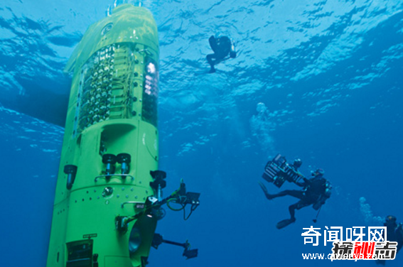 深海1万米巨型生物之谜,大多都吃垃圾(附20张深海奇特生物